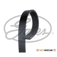 ������ ������������ Gates 6PK1893 XF Gates 6PK1893 ����