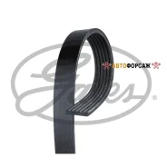 ������ ������������ Gates 6PK2625 Gates 6PK2625 ����
