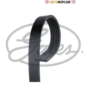 ������ ������������ Gates 6PK963 Gates 6PK963 ����