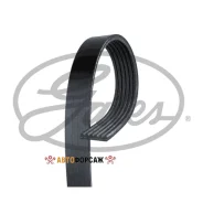������ ������������ Gates 6PK883 XF Gates 6PK883 ����