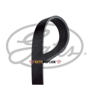 ������ ������������ Gates 7PK1793 XF Gates 7PK1793 ����