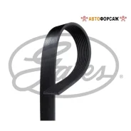 ������ ���������� Gates 8 PK 1875HD (8PK1875ES) Gates 8PK1875HD Gates 8PK1875HD ����