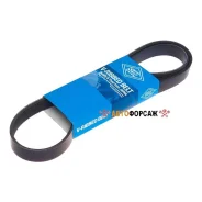 ������ ������������ SUN SUN 6PK1170 SUN 6PK1170 ����