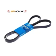 ������ ������������ SUN SUN 6PK1875 SUN 6PK1875 ����