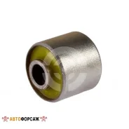 �����-����� 12062910 �������������� ����������� ������ �������� ����������� ������, ��������� � �������; ������ ��������, ����������� ����������� ����...