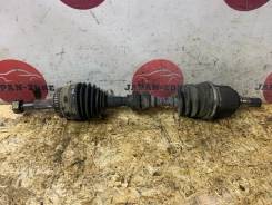 ������ Nissan Wingroad 2003 391014M771 WFY11 QG15DE, �������� ����� 391014M771 ����