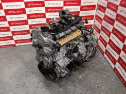 ��������� Nissan Bluebird Sylphy MR20DE KG11 T54098923 10102JG0AA 10102JG0AA ����