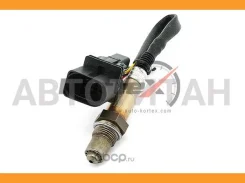 ������-���� 300�� Kortex KLP117 KLP117 ����