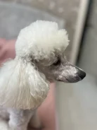 ������. ����