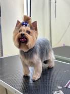 ������. �� ��������� �.�. �������� ��������� 100� ����