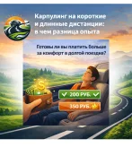 ������������ ����������� ���������� (���������� ��������) ����