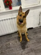 �������� �������. ����