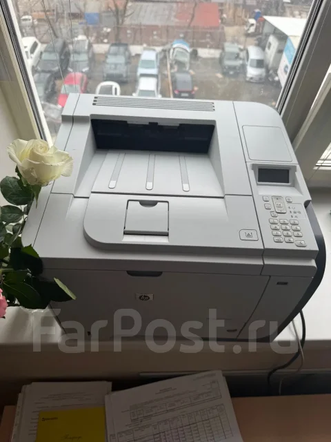 ��������. ����