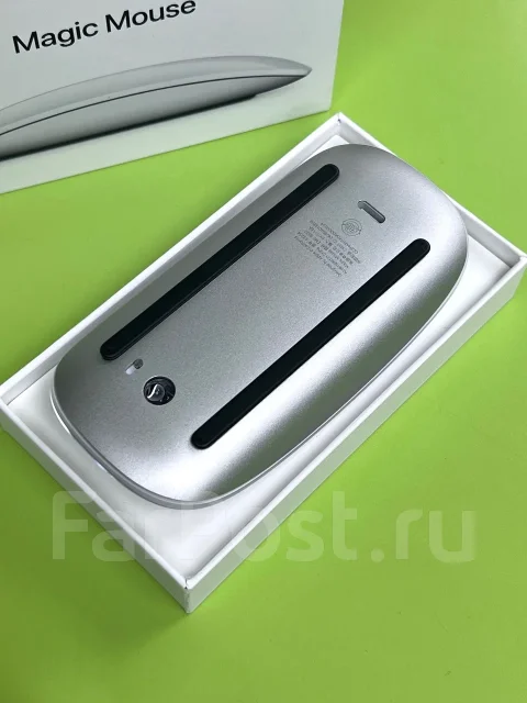 ���� ������������. ����