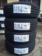 Vittos VSP06. ������, 2025 ���, �����. �������� ������� ����