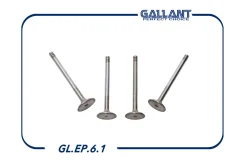������� �����+������ Gallant GLEP61 GLEP61 ����