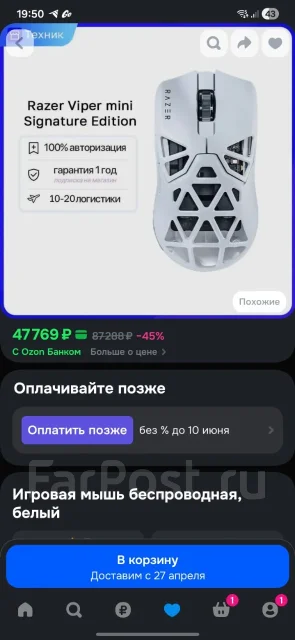 ���� �������. ����