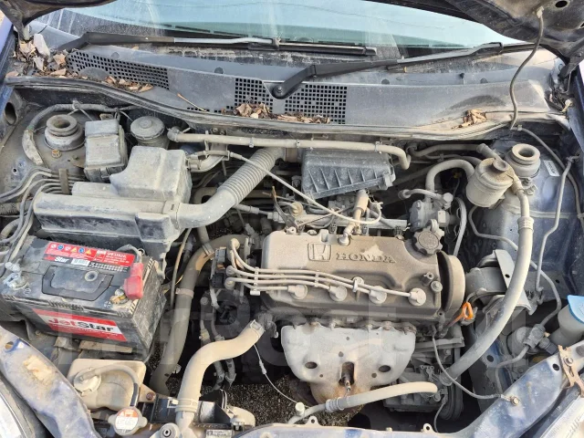 Honda Logo. GA31300707 ����