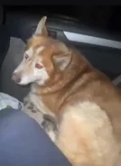 ������. ����