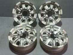 Fledermaus Cuervo 8