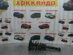 ������ �������� Nissan Primera 09.1997-12.2000 561103J126 HP11 SR20DE, �������� ����� 561103J126 ����