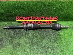 ������ Toyota Gaia 04.2001 - 08.2004 4341044070 ACM10G 1AZ-FSE, �������� ������ 4341044070 ����