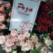 ����. ����