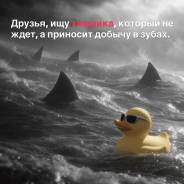 �������� �� ��������. ����������, �� �������� ������ ������������. �������� �������� 11� ����