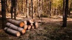 ������ �������. ��� "�������� ������������� ������". ���������� �����, �. �������� ����