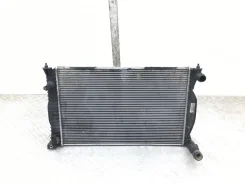 �������� (��������) Audi A4 2004 8E0121251L B6 2.0 FSI 8E0121251L ����