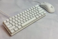 ������ �������. ����