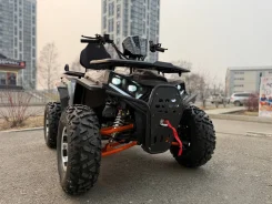 Grizzly 200. ��������, ��� ���\���, ��� ������� ����