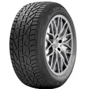 Taurus SUV Winter