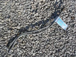 ����� ��������� Toyota Avensis 9094702D22 AZT251, �������� 9094702D22 ����