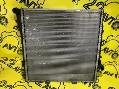 �������� ���������� ��������� BMW X5 2004 17101439101 E53 N62B44 17101439101 ����