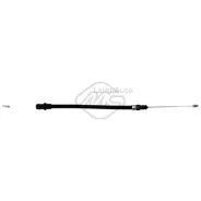 ���� ������� ������� Phedra ALL ANT. -Front 80131 ����