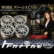 Work Gnosis CVS