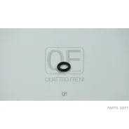 ������ �������������� Quattro Freni QF65A00025 QF65A00025 ����