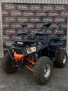 Dazzle Armour 125 Pro. �������� ����