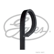 ������ ������������ XF Gates 3PK905 3PK905 ����