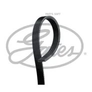 ������ ������������ Gates 4PK695SF 4PK695SF ����