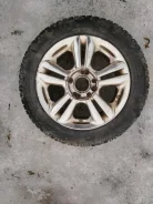 Cordiant Polar
