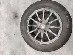 Nexen Winguard 231