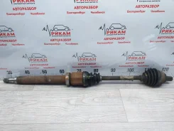 ������ FORD Focus 2 2010 1686115 CB4 C307, �������� ������ 1686115 ����