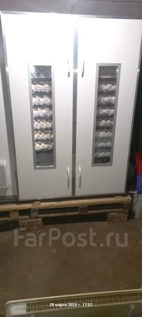 ����. ����