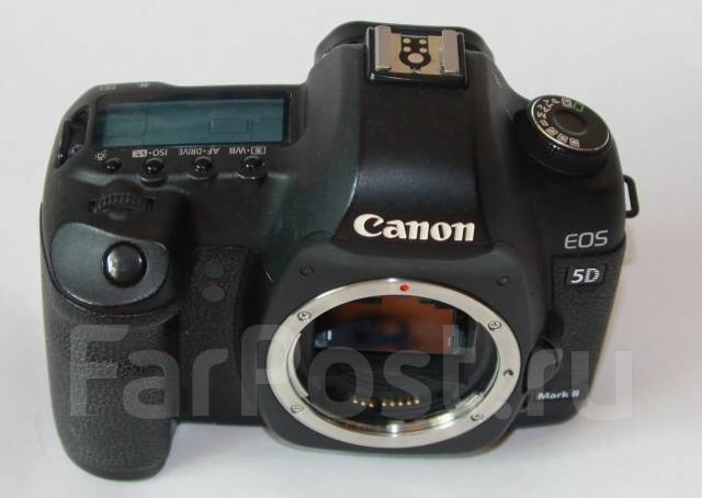 Canon EOS 5D Mark II Body. 15 - 19.9 ��, ���: ��� ���� ����