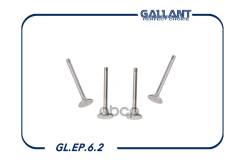 ������� �����+������ Gallant GLEP62 GLEP62 ����