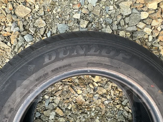 Dunlop SP 175. ������, 2018 ���, �/�, ����� 50 %. �������� ������ ����