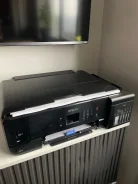��������. ����