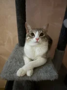 �����. ����